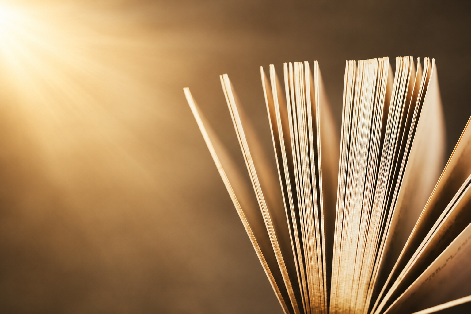 aufgeschlagenes Buch, Abendlicht